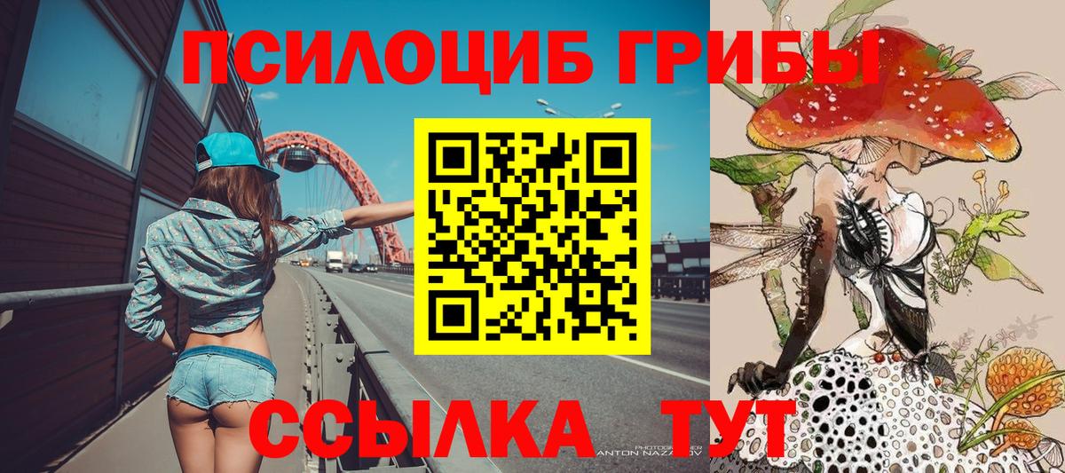 Галлюциногенные грибы Cubensis Искитим