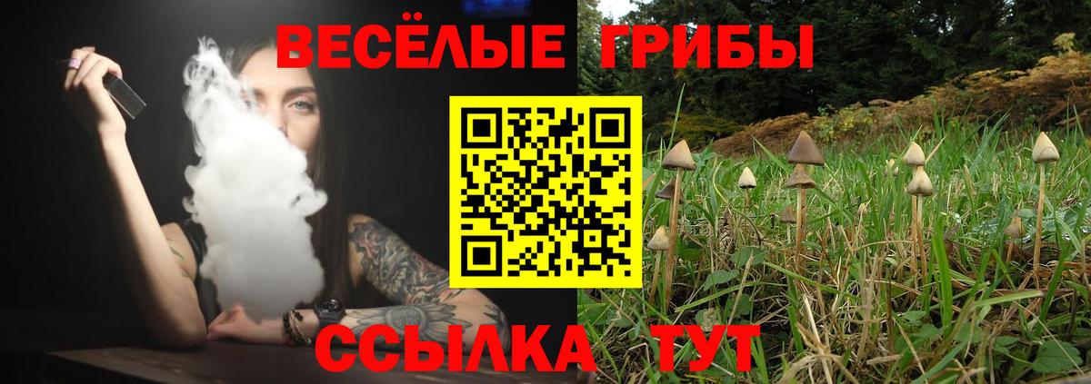Галлюциногенные грибы ЛСД  Вход с VPN  где можно купить наркотик  Искитим  Псилоцибиновые грибы мухоморы 